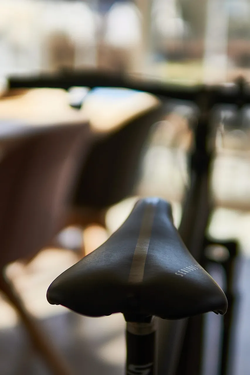 Cyclists on a village road